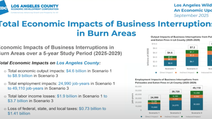 LA wildfire economic impacts.