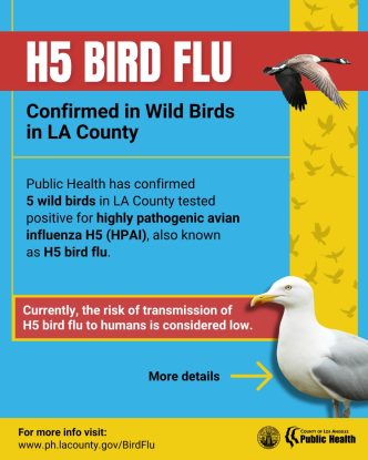 Bird flu in Los Angeles County.