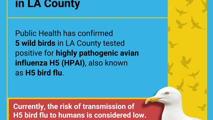Bird flu in Los Angeles County.