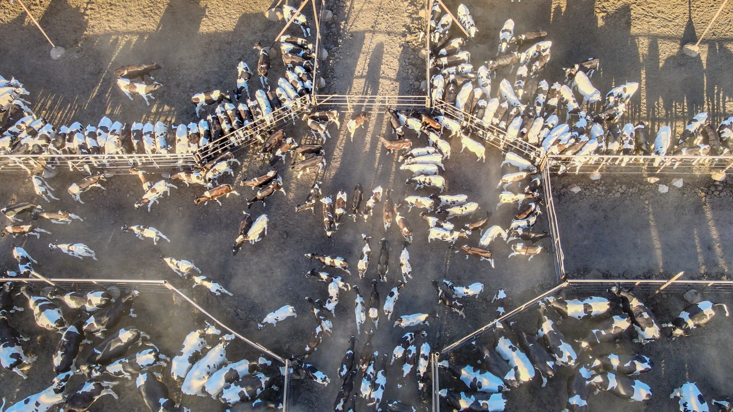 New online tool maps factory farms across CA