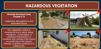 A slide from the Fire Department's presentation to the City Council Tuesday displays examples of plants and landscaping that fuel fires.