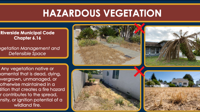 A slide from the Fire Department's presentation to the City Council Tuesday displays examples of plants and landscaping that fuel fires.