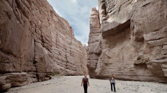 Hikers stroll through a steep-walled canyon in the Mecca Hills Wilderness, part of the Chuckwalla National Monument in Riverside County.