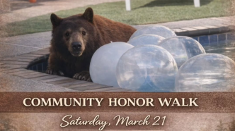 Blondie, a Monrovia mother bear was euthanized in March 2026.
