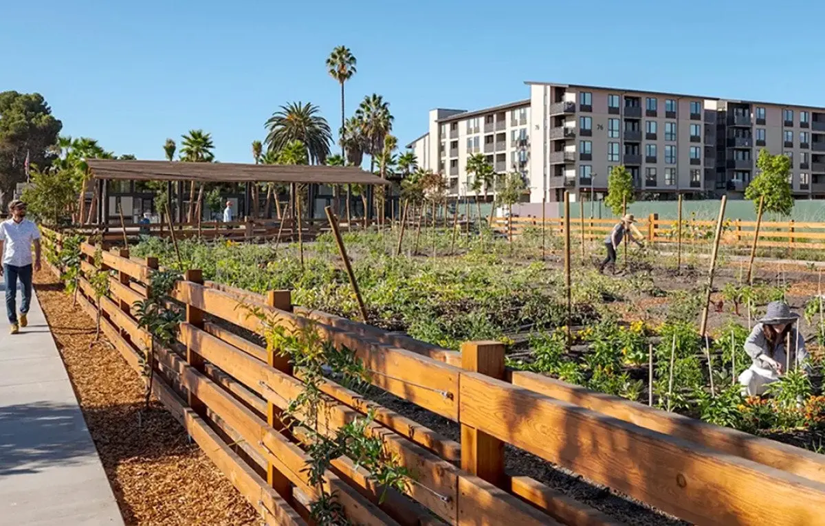 What happens when a neighborhood is built around a farm