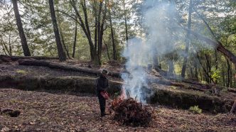 A firefighter oversees a controlled burn of hazardous vegetation cleared from an area at risk of wildfires.