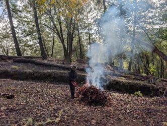 A firefighter oversees a controlled burn of hazardous vegetation cleared from an area at risk of wildfires.