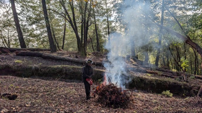 A firefighter oversees a controlled burn of hazardous vegetation cleared from an area at risk of wildfires.