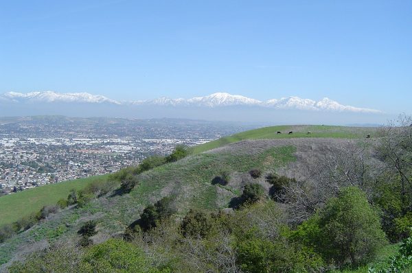 The San Gabriel Valley, as seen from the Puente Hills.