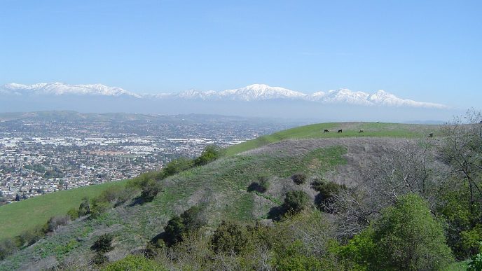 The San Gabriel Valley, as seen from the Puente Hills.