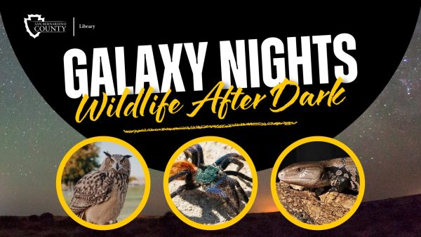 Galaxy Nights: Wildlife After Dark