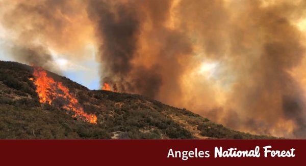 Angeles National Forest fire.