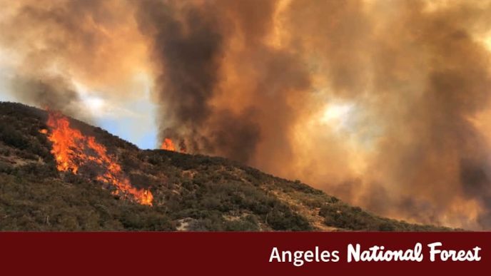Angeles National Forest fire.