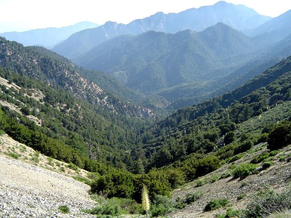 The San Gabriel Mountains.