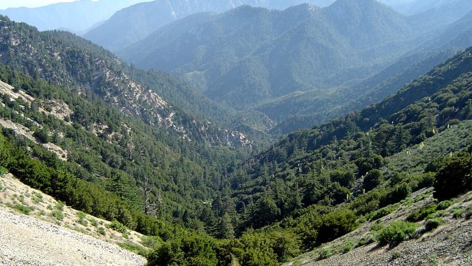 The San Gabriel Mountains.