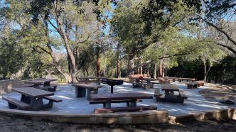 A picnic area in the Cleveland National Forest, which spans Orange, Riverside and San Diego counties.