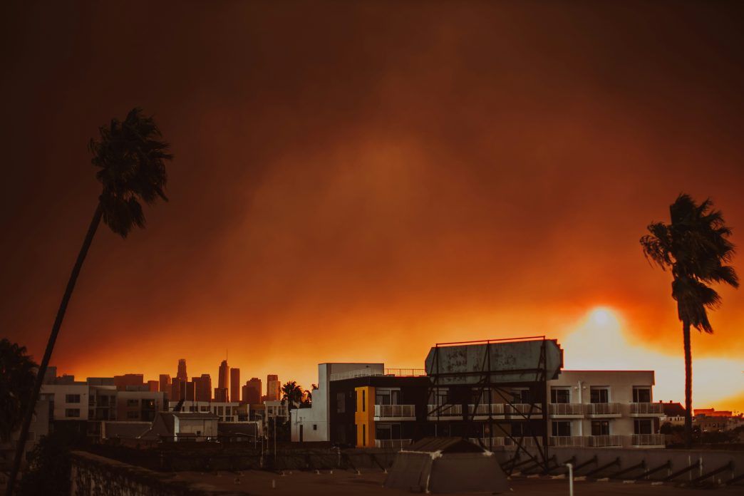 A rooftop view of the January 2025 Palisades Fire.