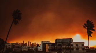 A rooftop view of the January 2025 Palisades Fire.