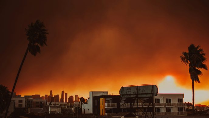A rooftop view of the January 2025 Palisades Fire.